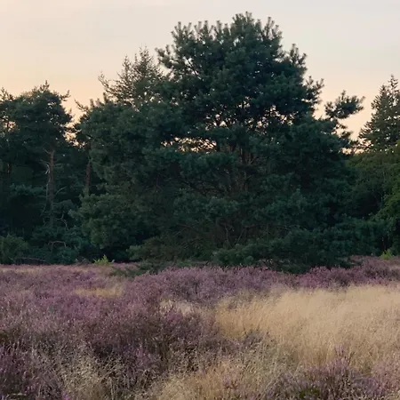 Het Egeltje Putten
